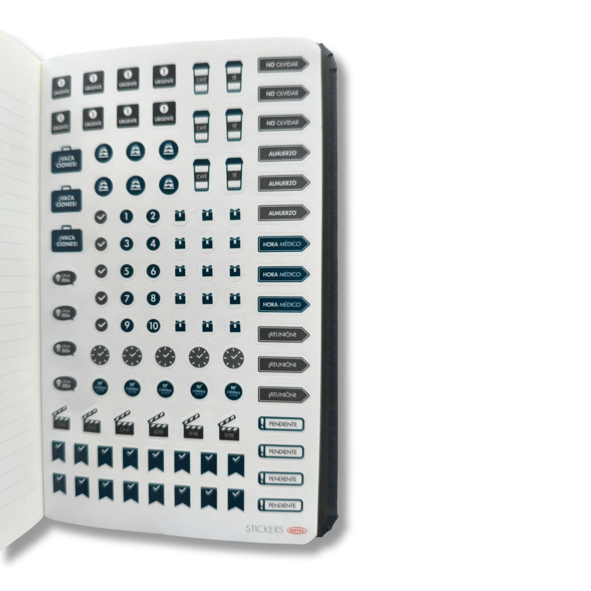 Miniatura 6