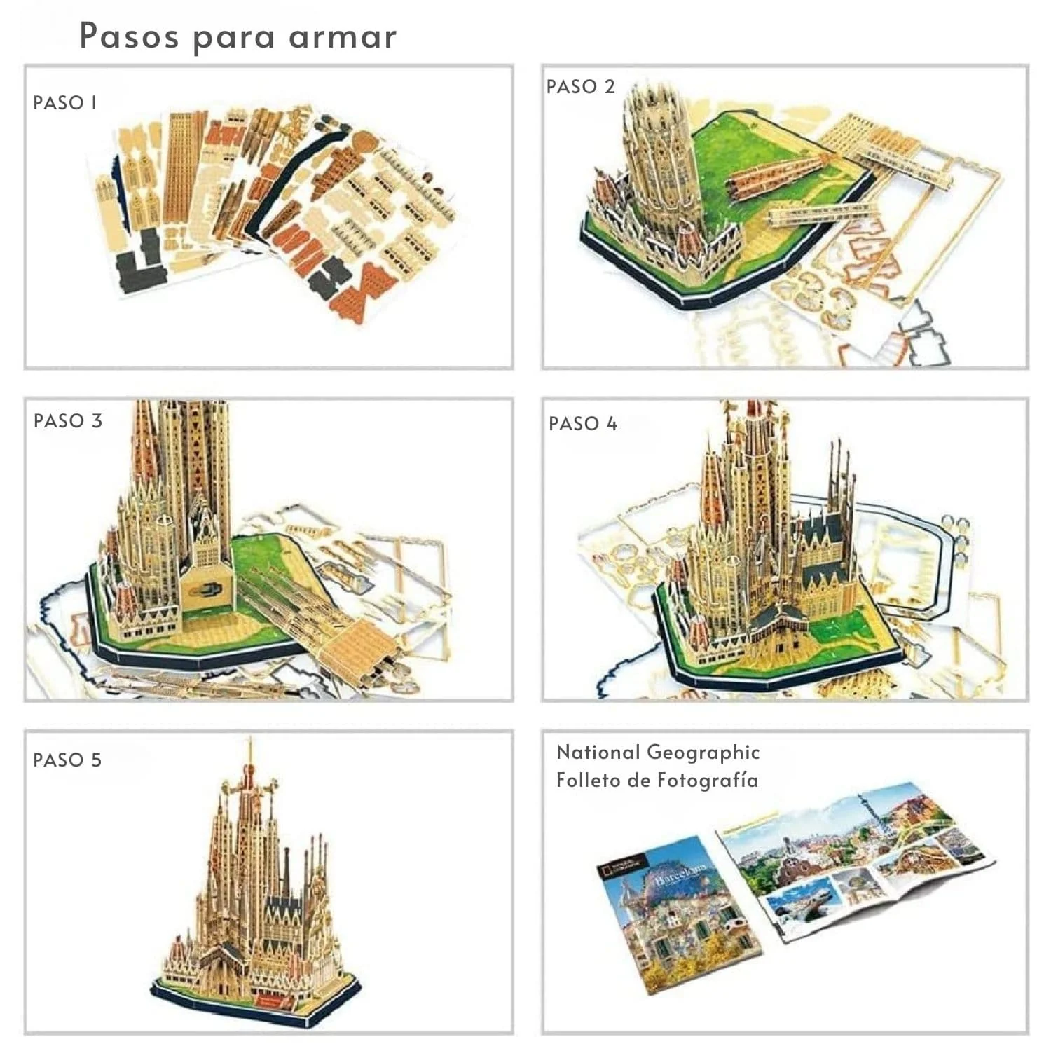 Miniatura 6