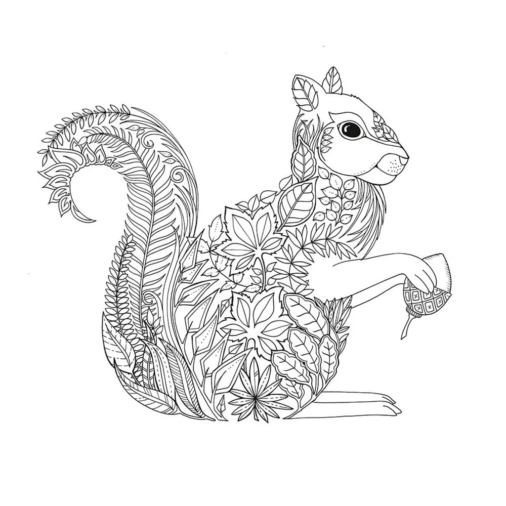 Miniatura 6