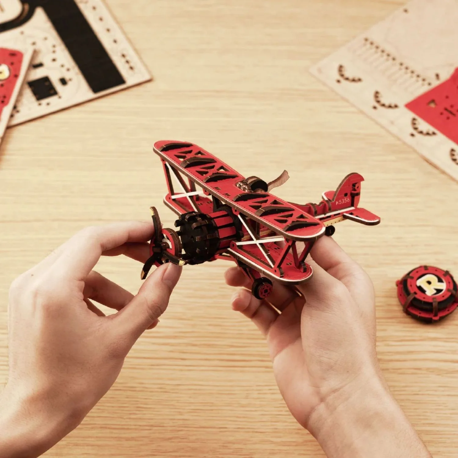 Miniatura 5