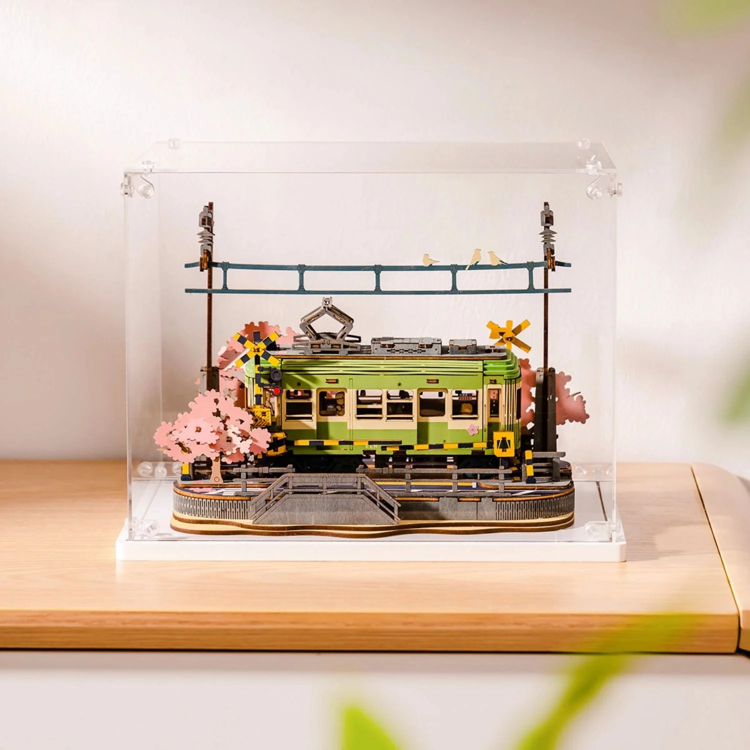 Miniatura 6
