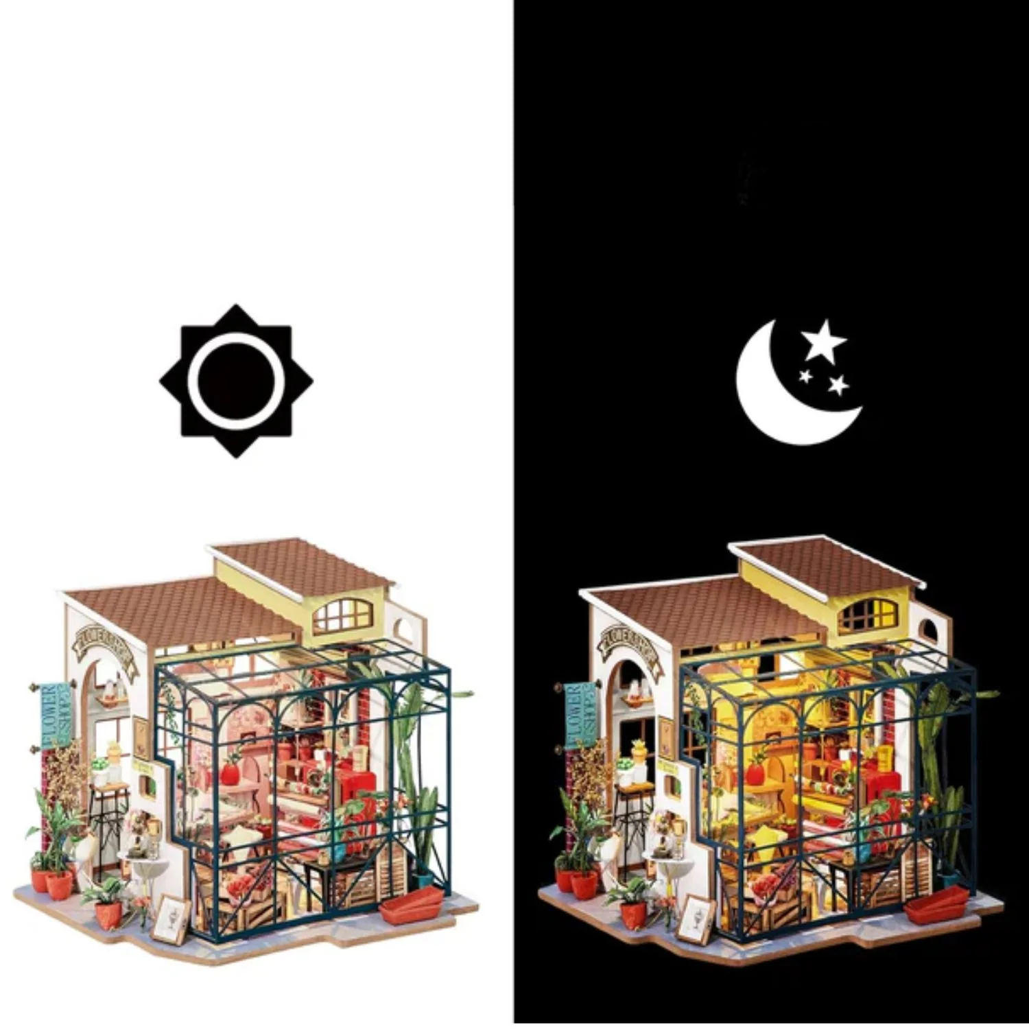 Miniatura 5