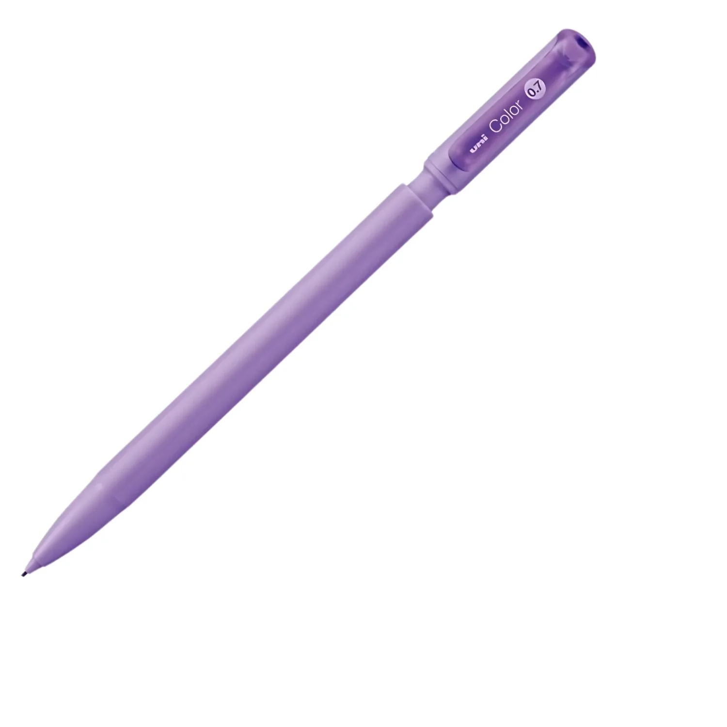 Miniatura 12
